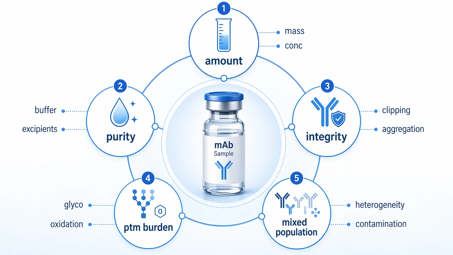 Monoclonal antibody sequencing sample-fit checkpoint map covering amount, purity, integrity, PTM burden, and mixed population risk.