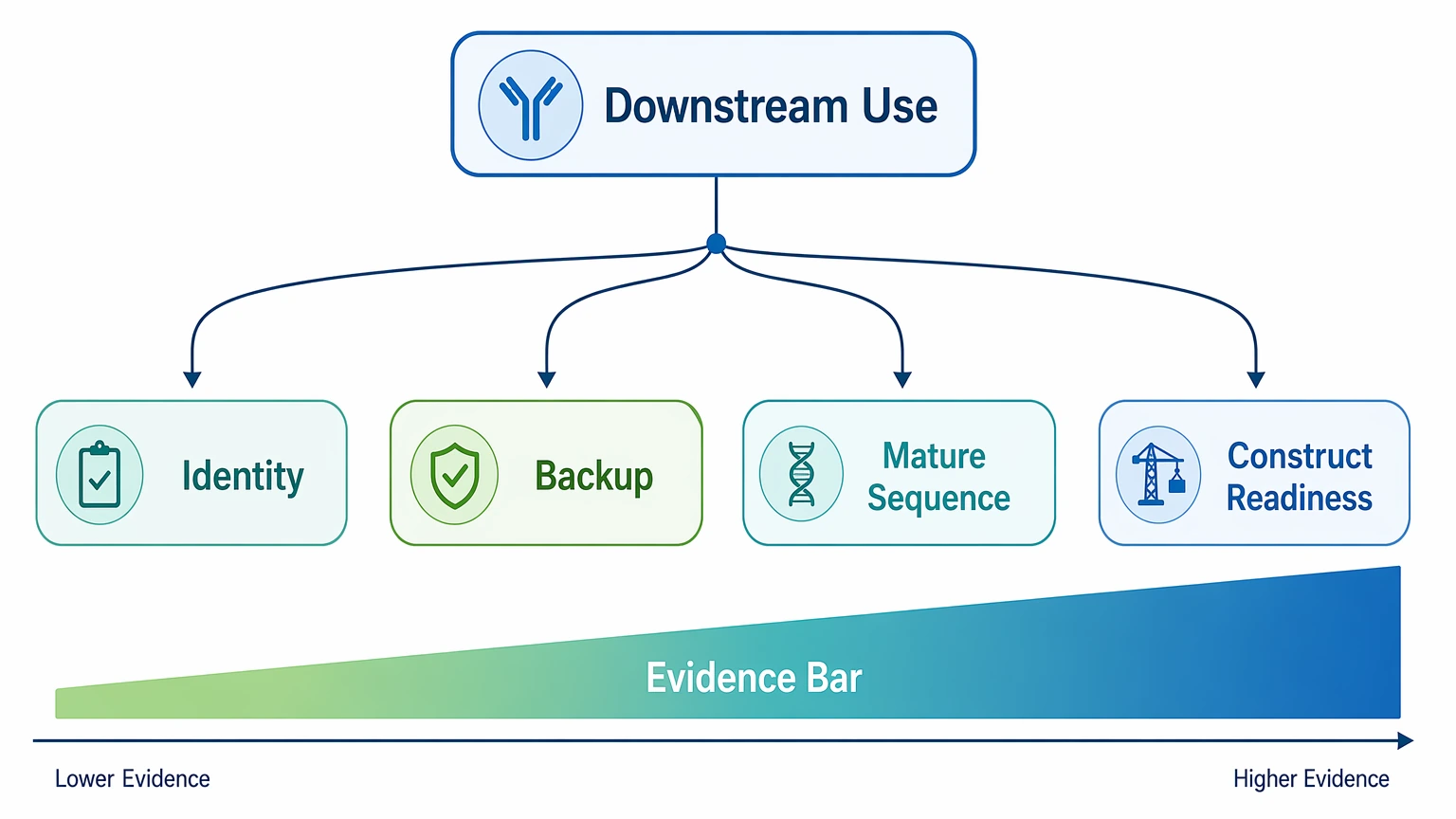 Hybridoma monoclonal antibody sequencing decision path showing downstream use options and evidence level