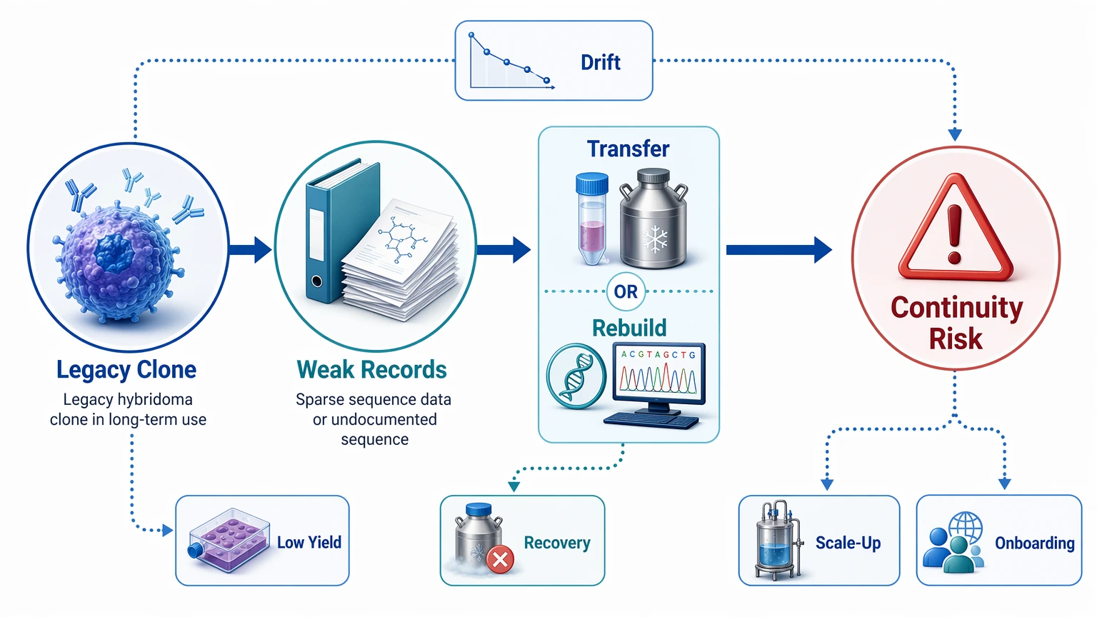 Hybridoma monoclonal antibody sequencing risk map showing how weak sequence records increase transfer continuity risk