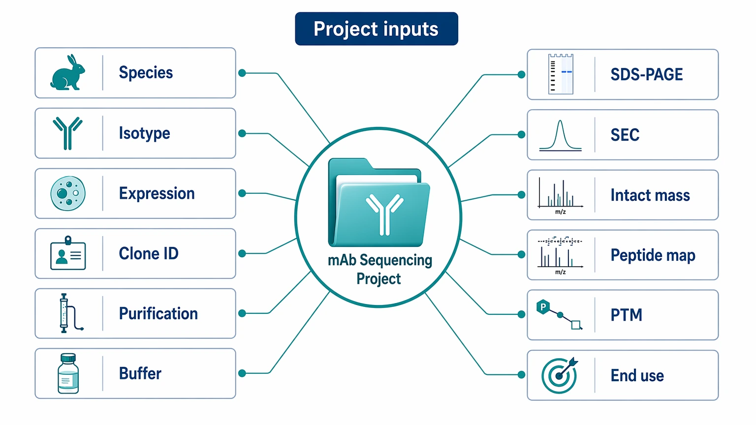 Monoclonal antibody sequencing project input map with species, isotype, purification, buffer, and analytical records