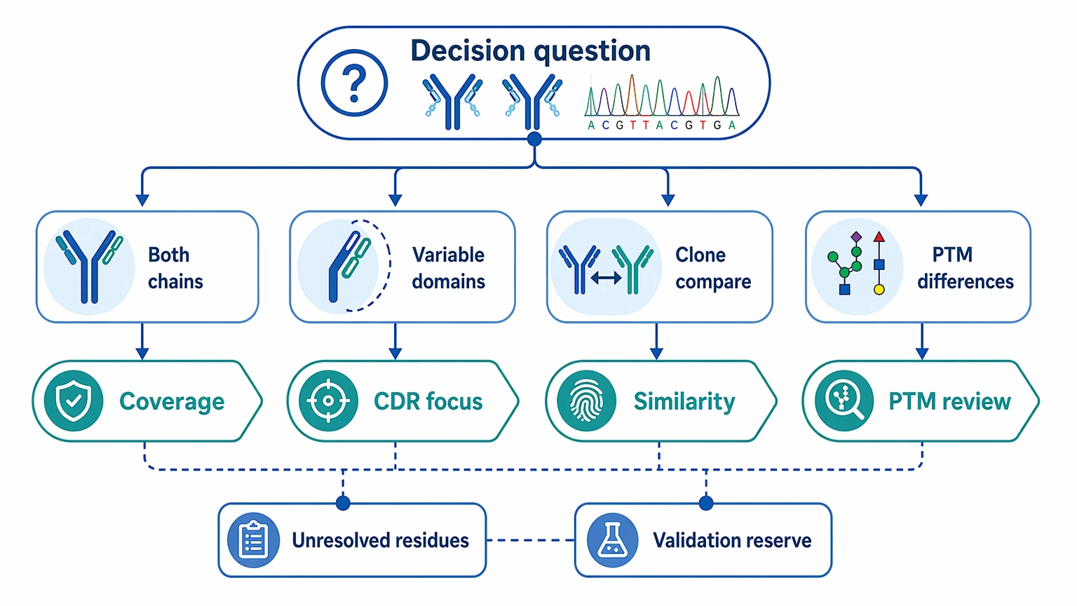 Monoclonal antibody sequencing decision path diagram for chain reconstruction, variable domains, clone comparison, and PTM review