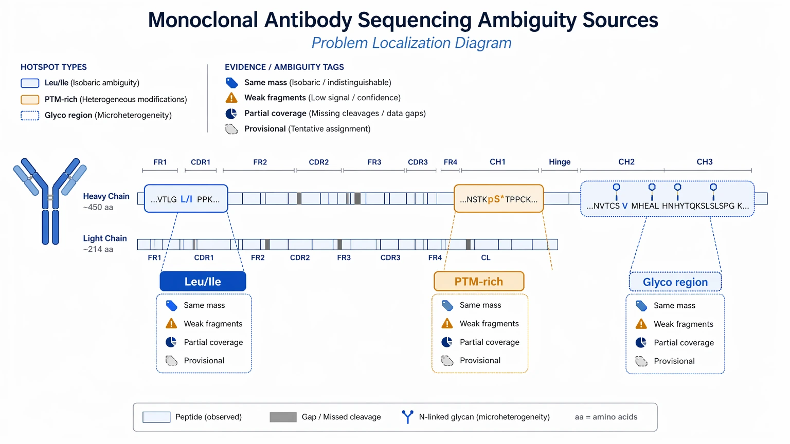 Monoclonal antibody sequencing problem localization diagram highlighting Leu/Ile ambiguity, PTM-rich peptides, and glycosylated regions