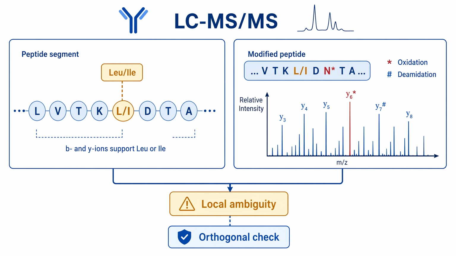 Monoclonal antibody sequencing LC-MS/MS evidence view showing Leu Ile ambiguity and PTM-confounded peptide interpretation.