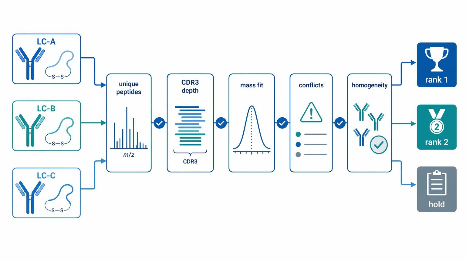 HC/LC pairing decision path for ranking multiple light chain candidates in hybridoma monoclonal antibody sequencing
