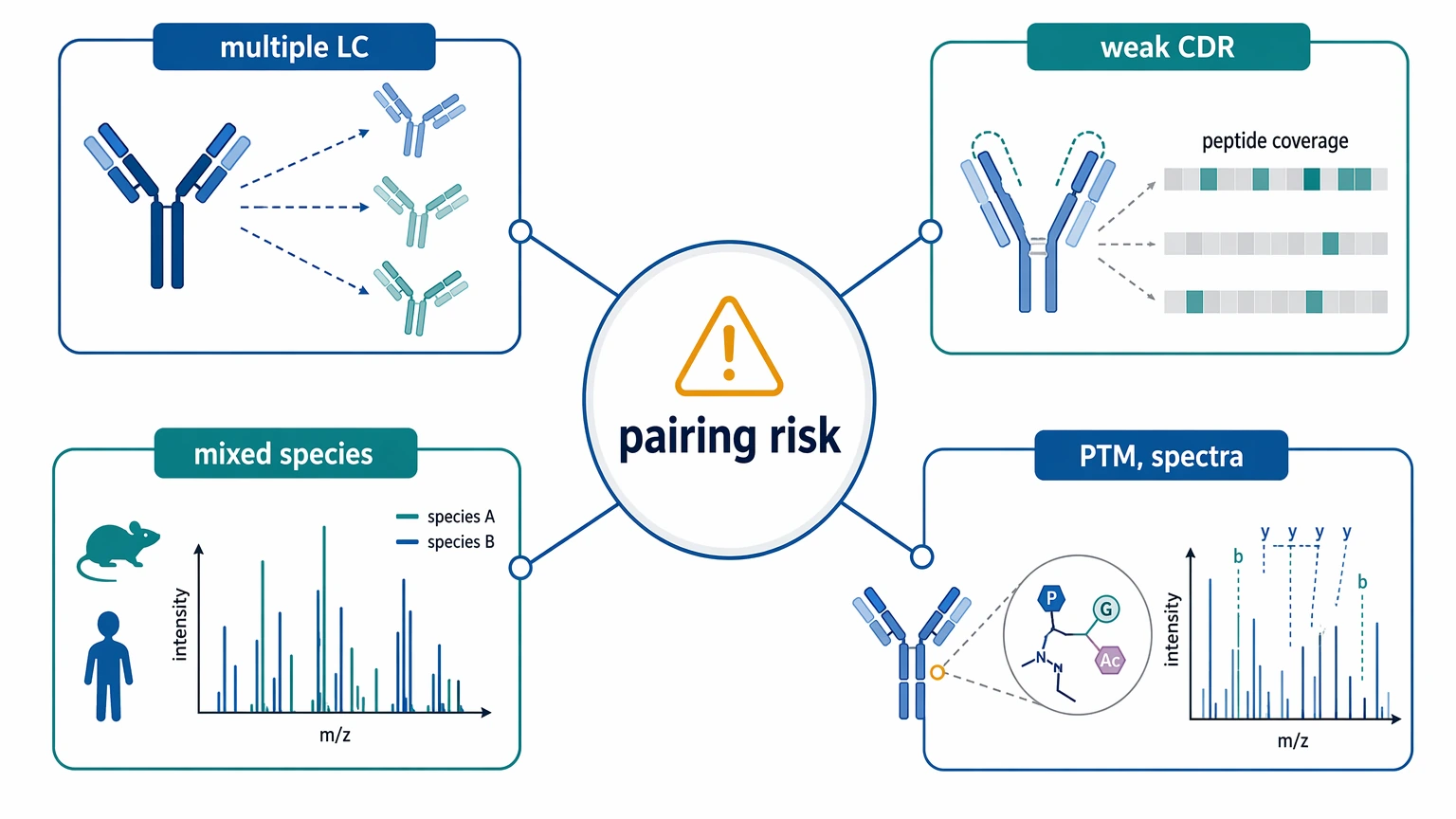 Heavy chain light chain pairing risk localization after hybridoma monoclonal antibody sequencing