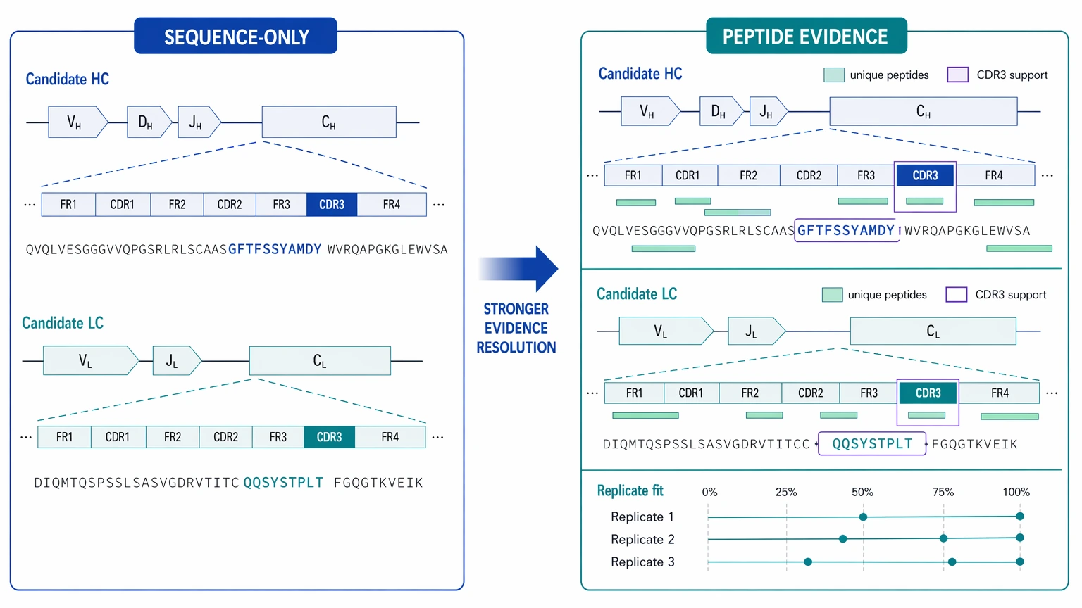 Hybridoma monoclonal antibody sequencing comparison of sequence-only recovery and peptide-level evidence
