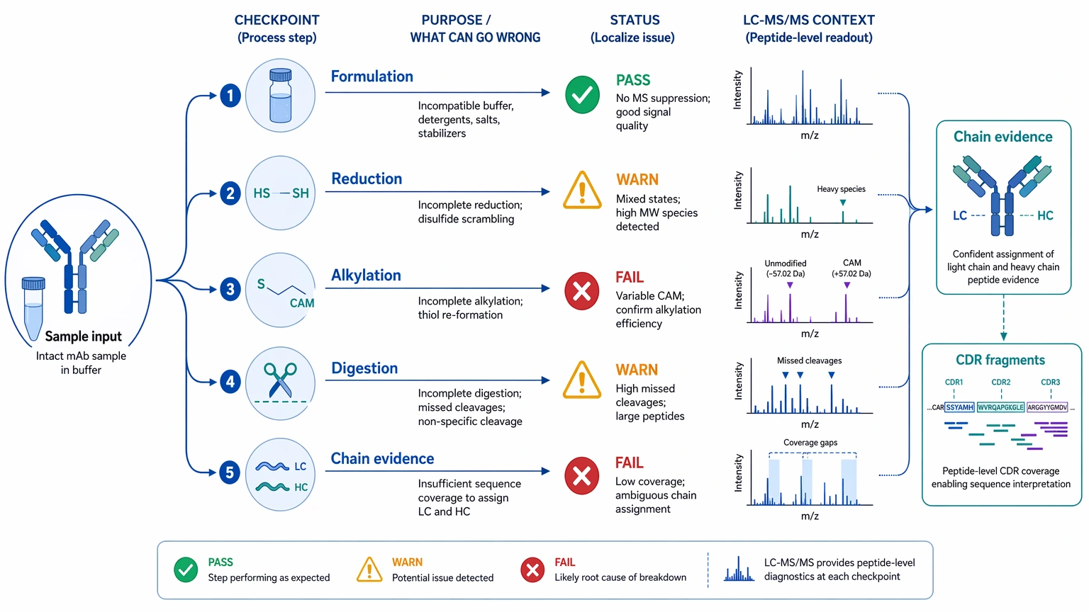 Monoclonal antibody sequencing checkpoint map showing sample, formulation, digestion, chain evidence, and CDR fragment risk points