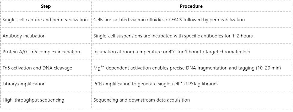 single-cell-cuttag-analysis-strategies-and-common-challenges
