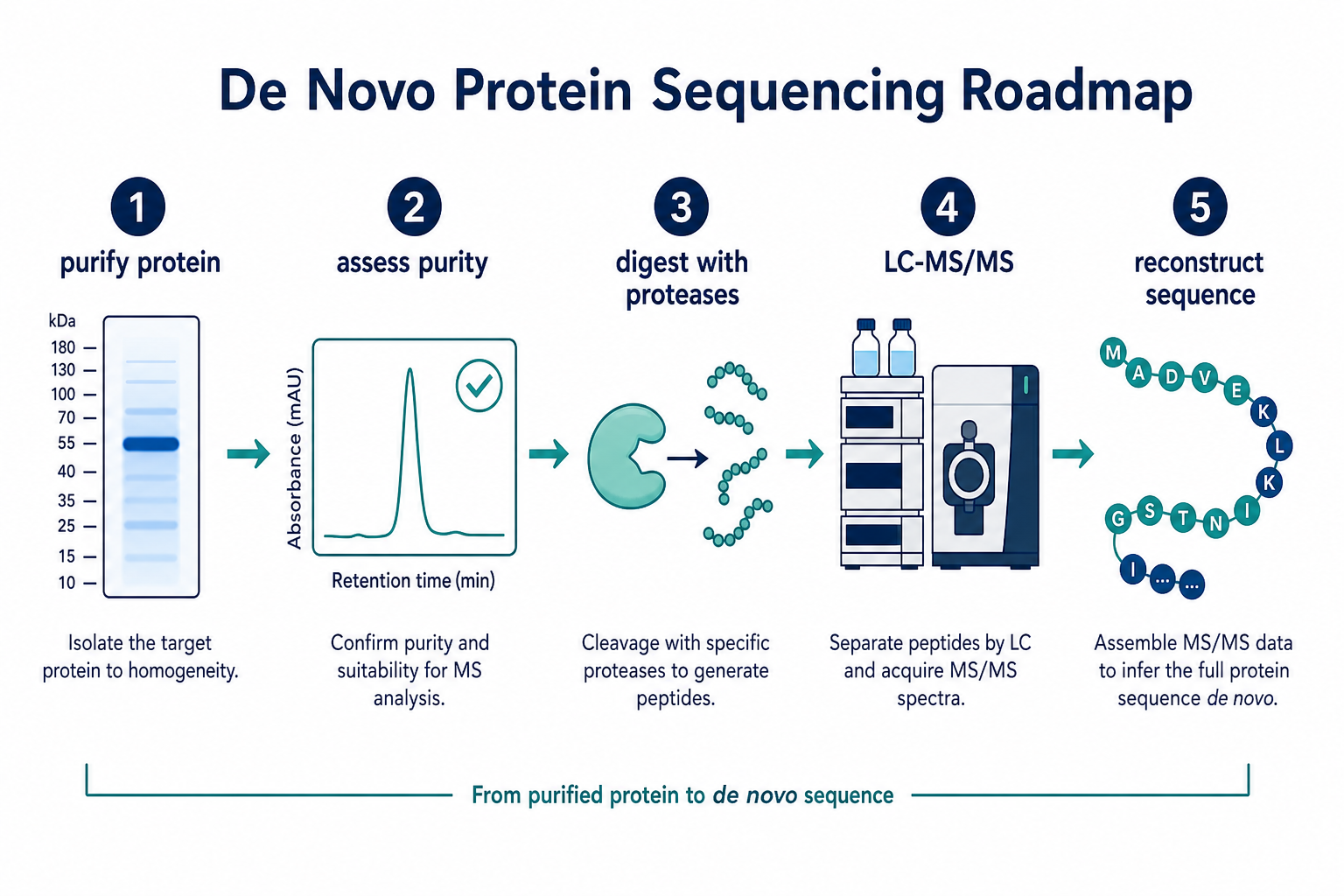 De Novo Protein Sequencing Roadmap