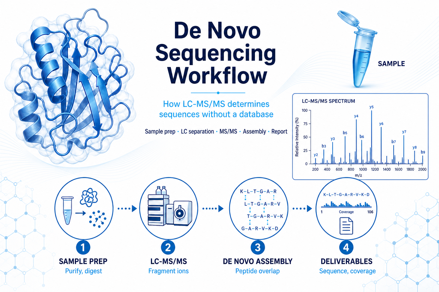 LC-MS/MS sequencing workflow
