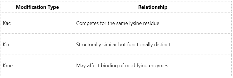 what-does-histone-kbu-reveal-about-chromatin-regulation