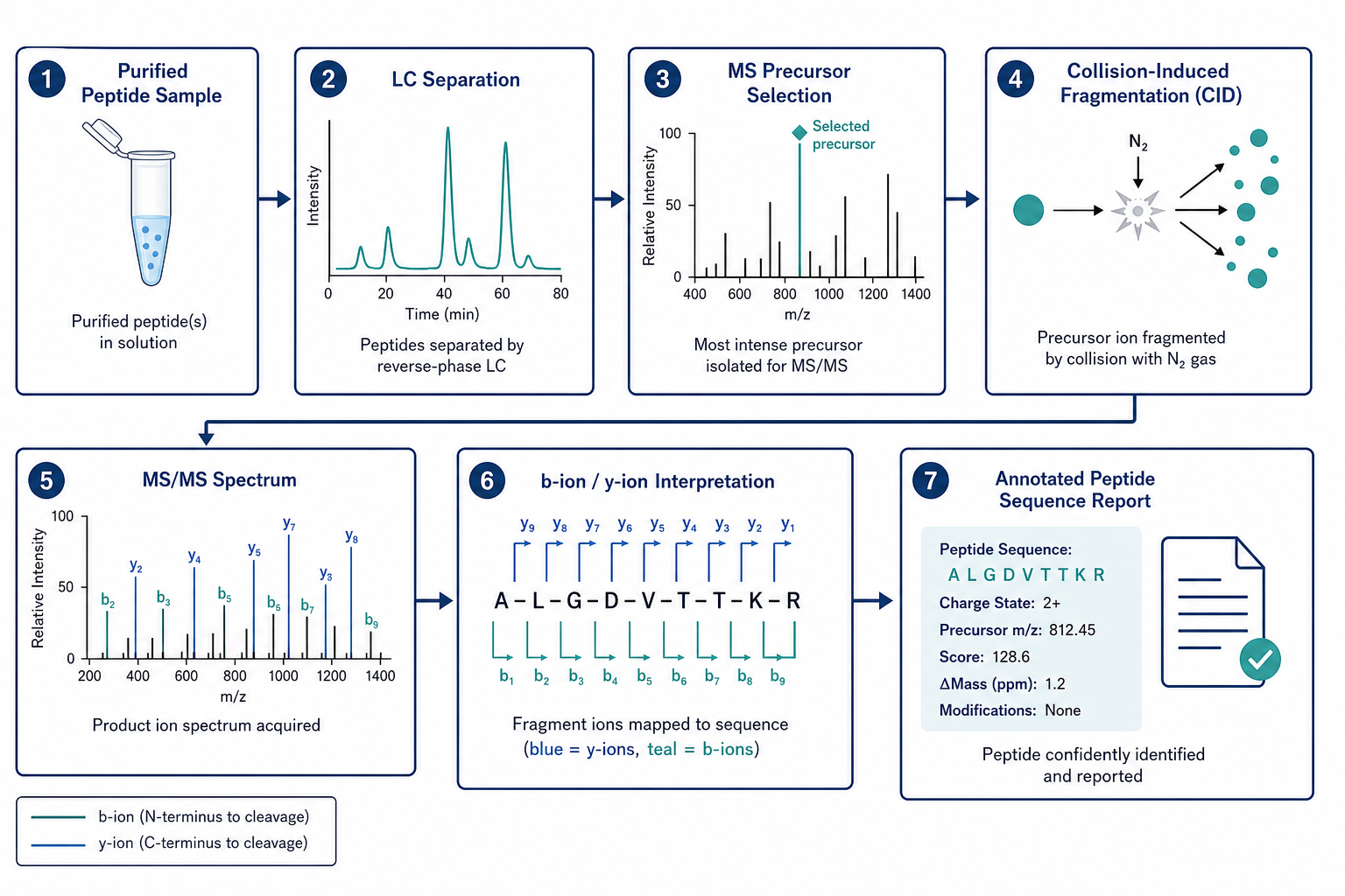 2072603163620364288-Figure_1_LC-MS-MS_Peptide_Sequencing_Workflow.png