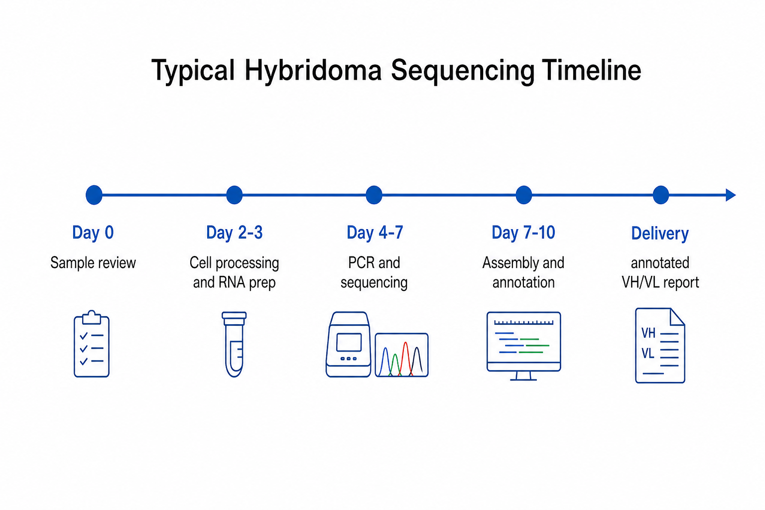 2072607981999050752-Figure_3_Typical_Hybridoma_Sequencing_Timeline.png