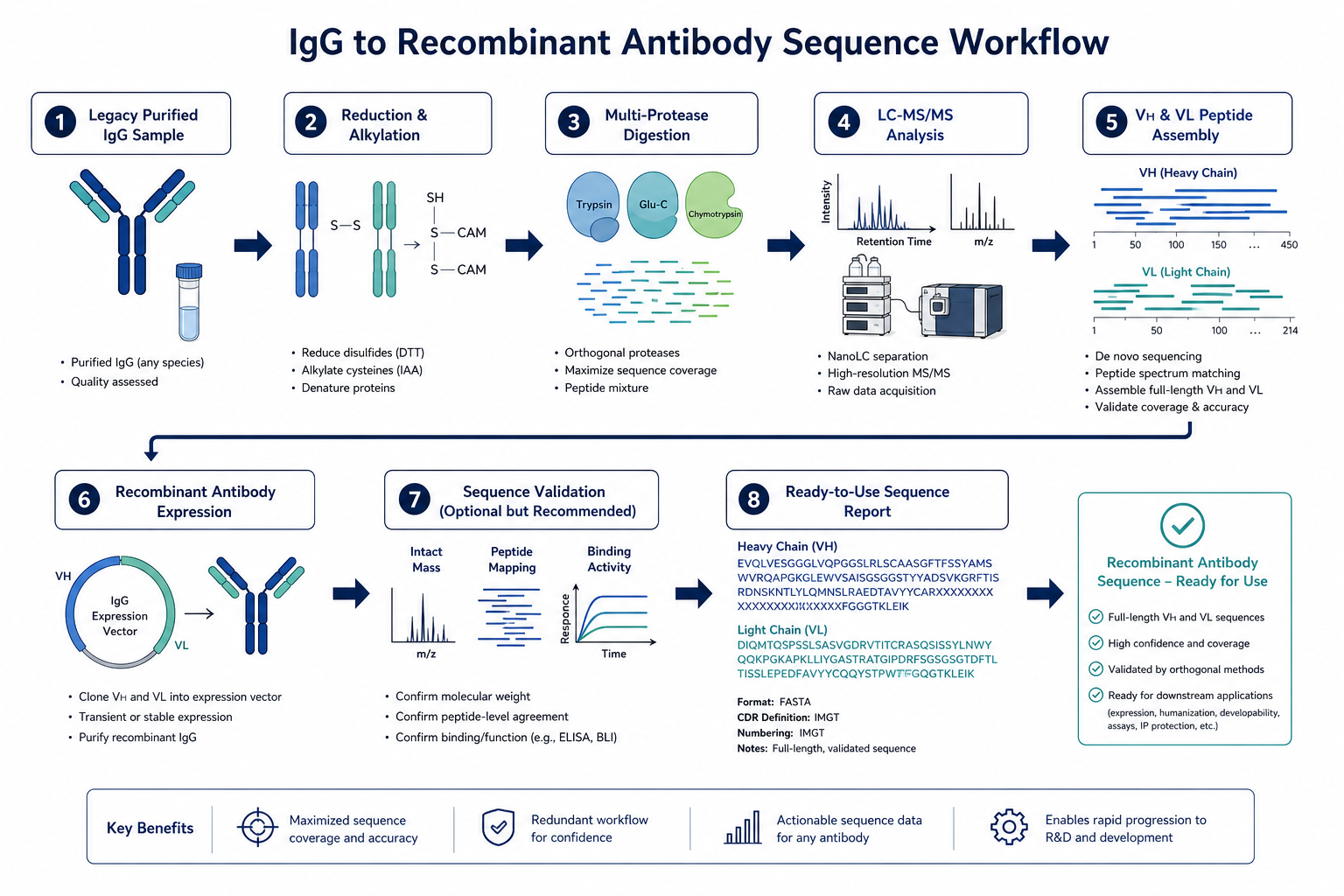 2072876936550502400-ab-protein-seq-app-fig1-purified-igg-workflow.png