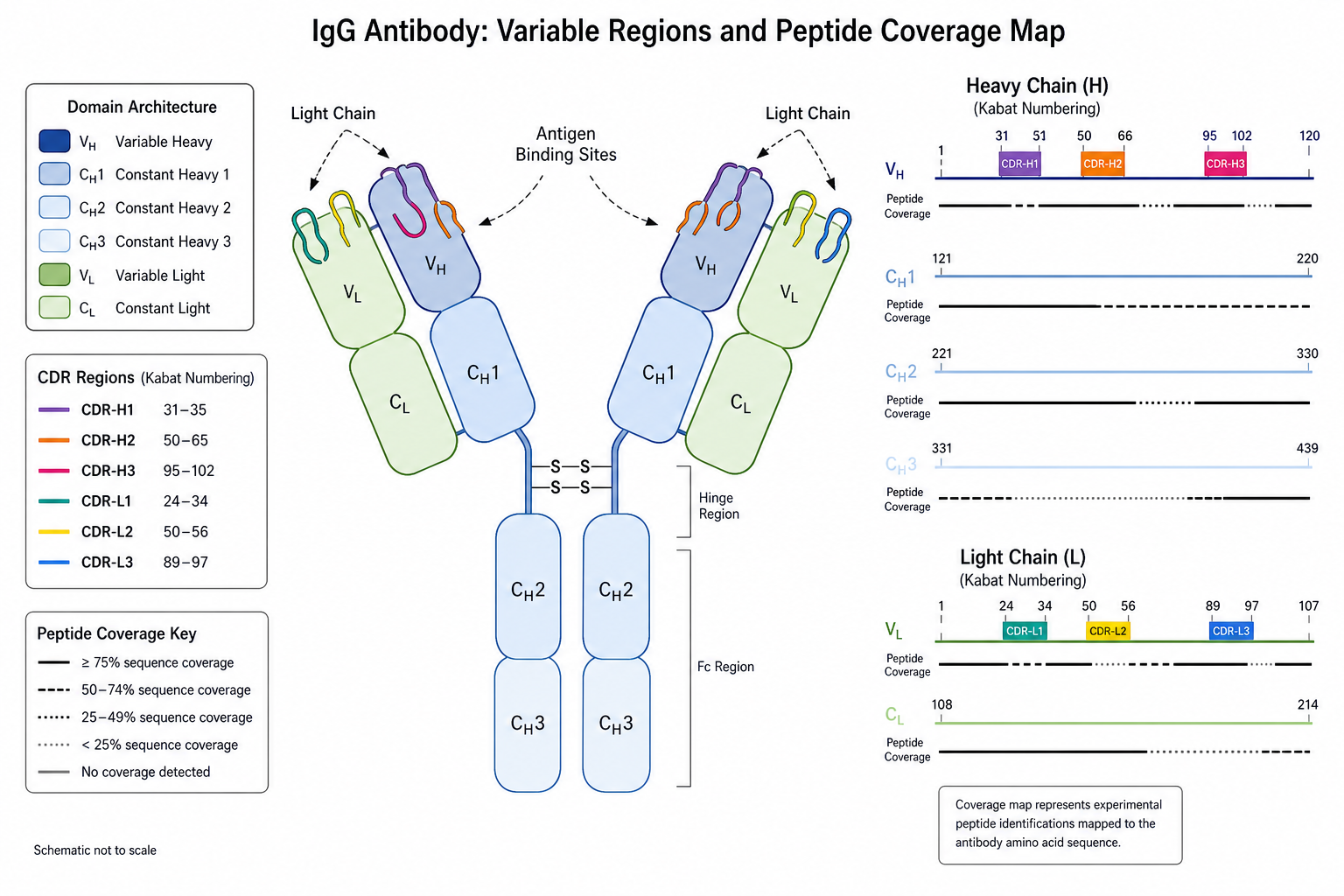2072877170886266880-ab-protein-seq-app-fig3-vh-vl-coverage-map.png