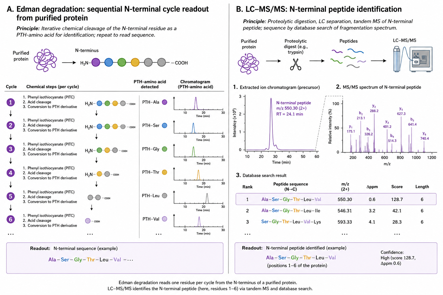Edman degradation or LC-MS/MS