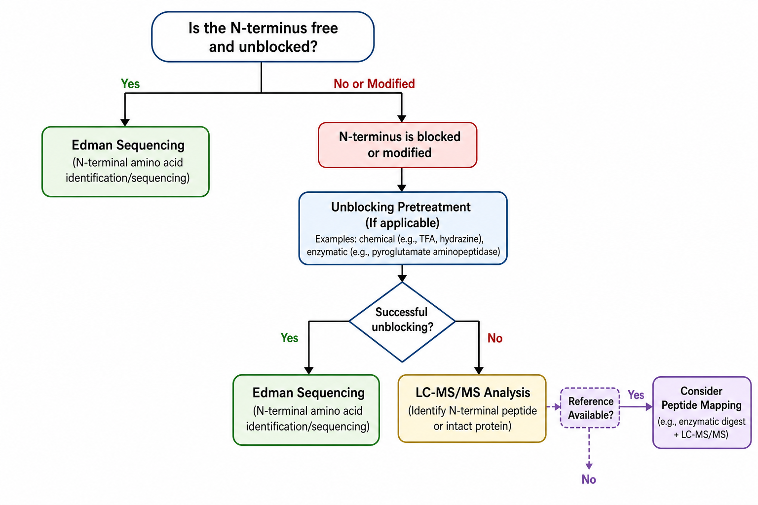 N-terminal analysis route