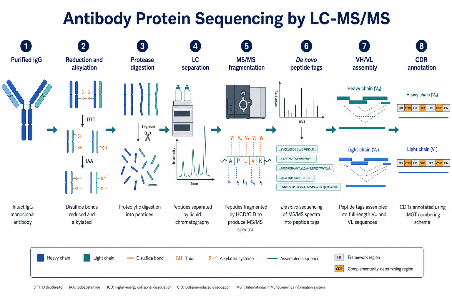 2072953873604104192-antibody-protein-sequencing-ms-workflow.png