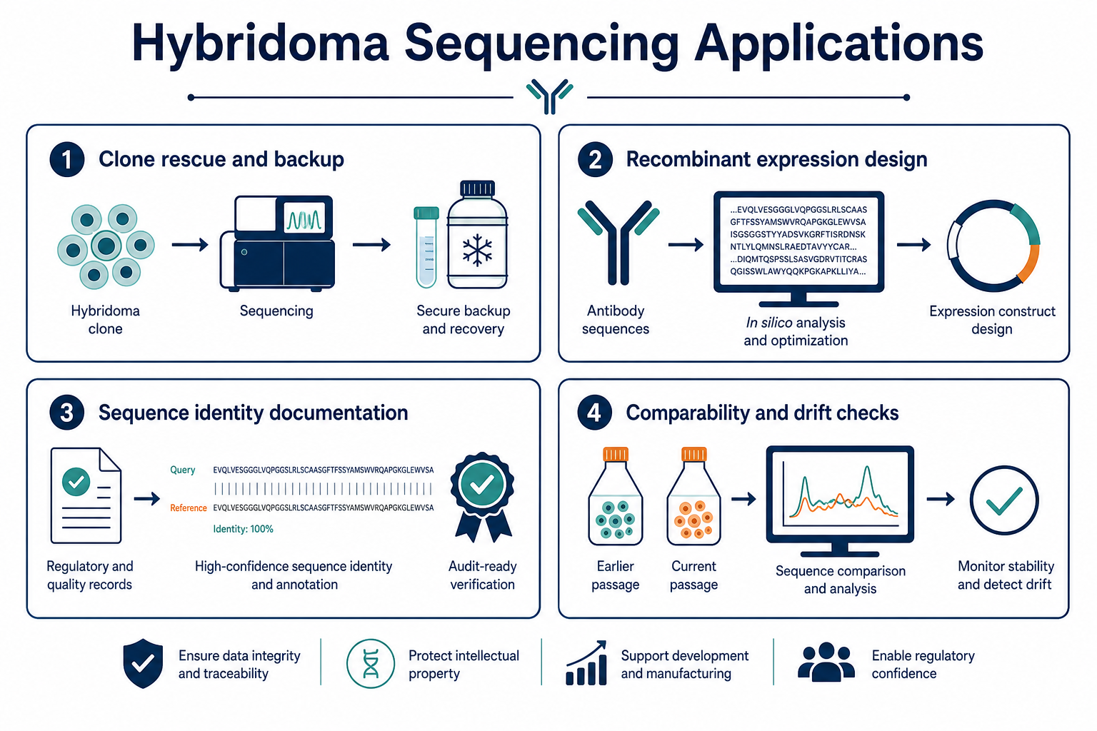 2072881046939062272-hybridoma-sequencing-applications.png