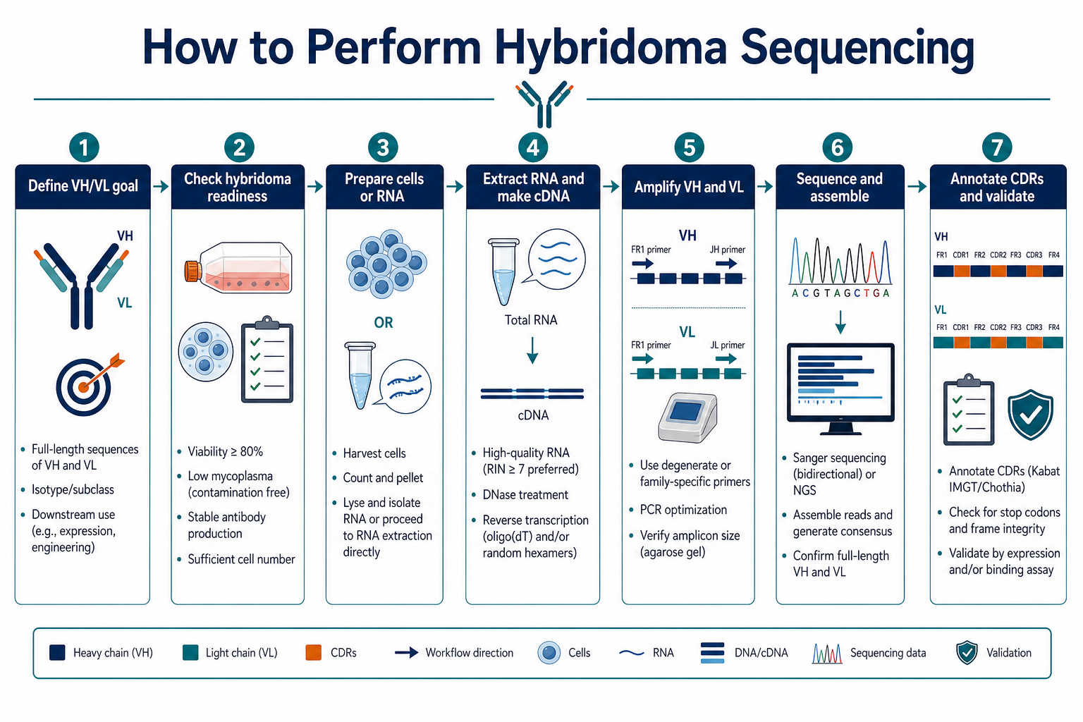2072886157505548288-hybridoma-sequencing-key-steps-roadmap.png