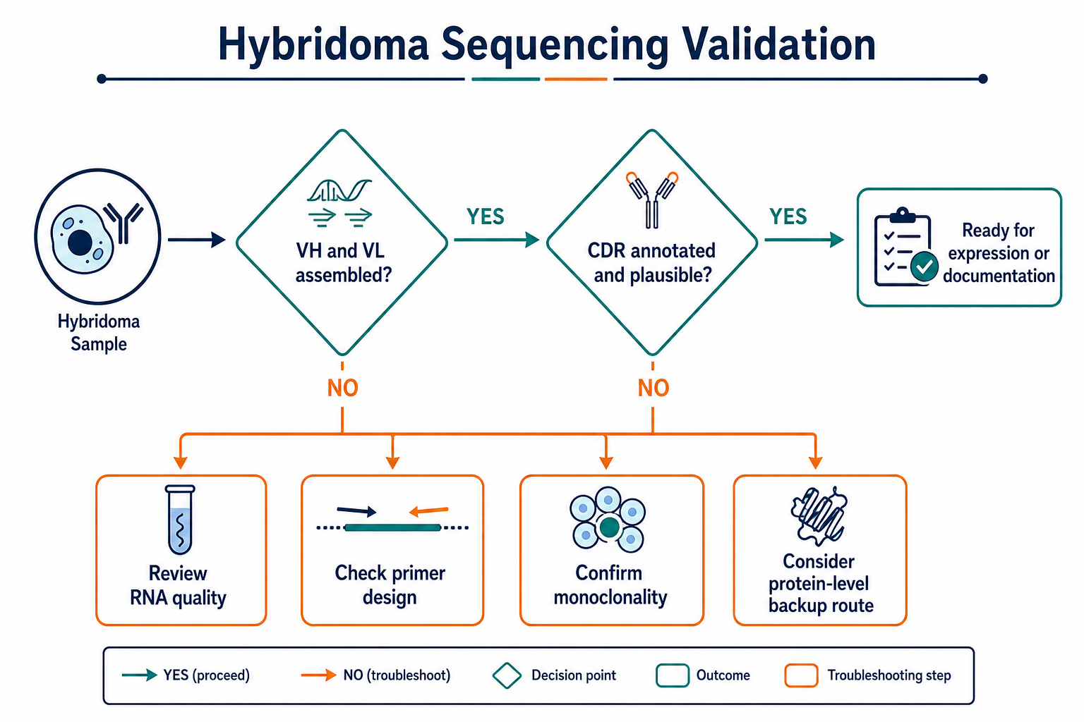 2072888545138266112-hybridoma-sequencing-validation-flowchart.png