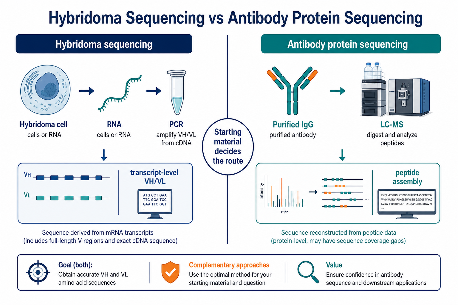 2073977698101841920-hybridoma-vs-antibody-protein-sequencing-comparison.png