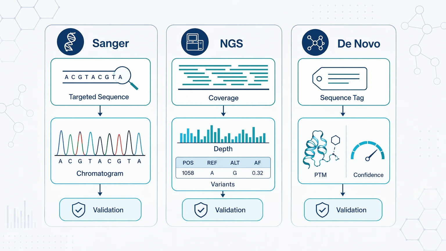 Ngs vs Sanger Sequencing deliverables diagram comparing evidence outputs from Sanger, NGS, and de novo sequencing