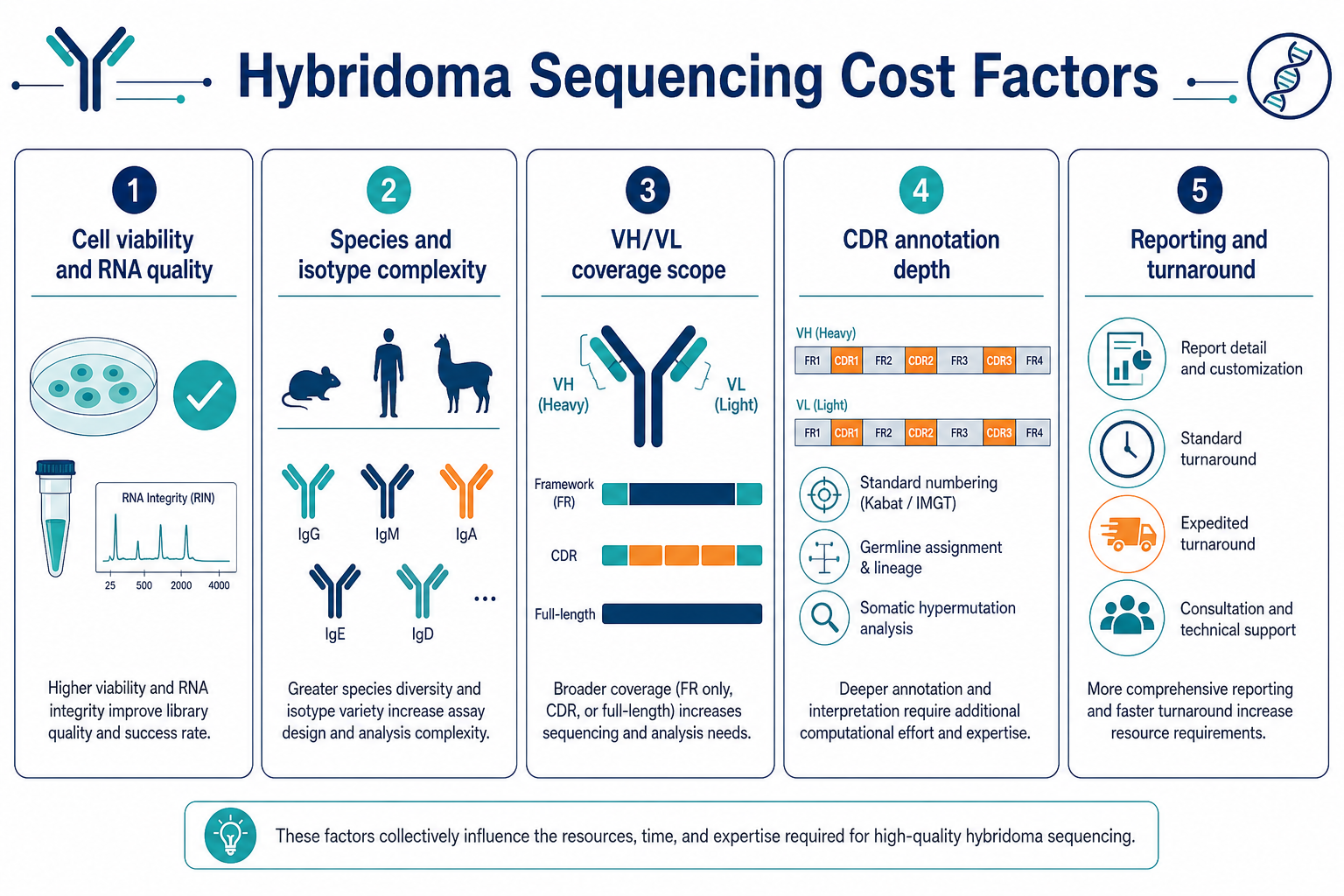 2074006377582383104-hybridoma-sequencing-cost-factors.png