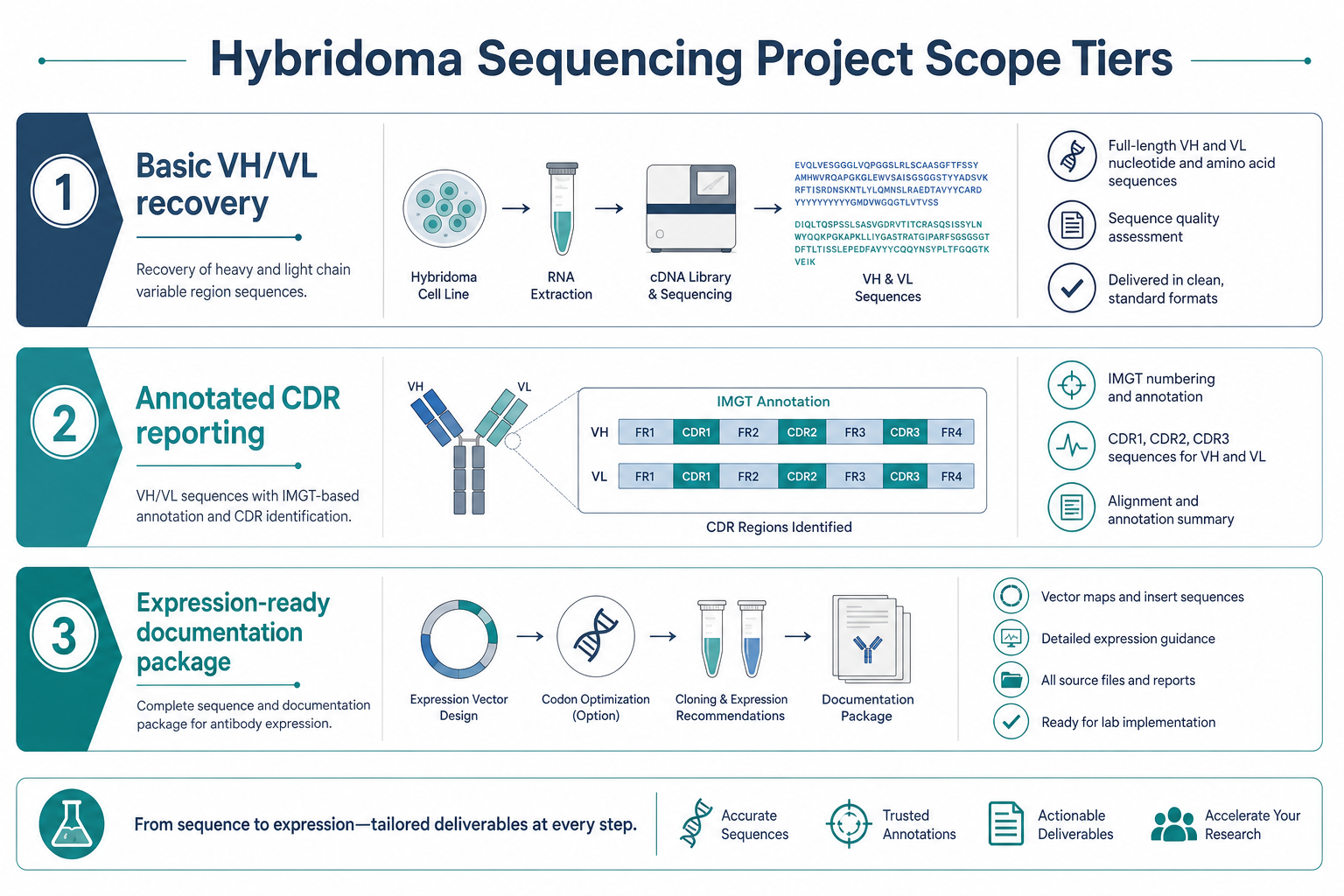 2074007184126070784-hybridoma-sequencing-scope-tiers.png