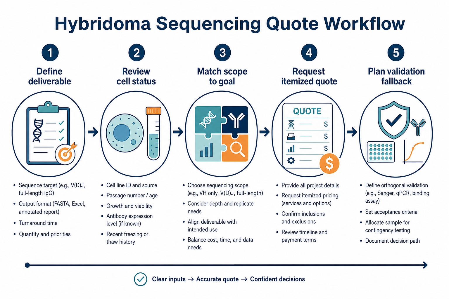 2074007740592771072-hybridoma-sequencing-quote-workflow.png
