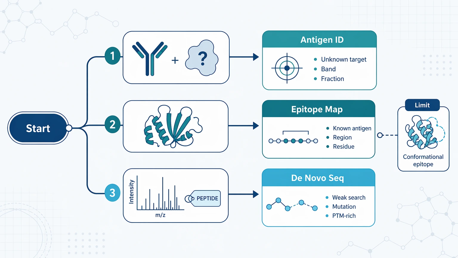 Epitope vs antigen decision path diagram showing when to choose antigen identification, epitope mapping, or de novo sequencing.