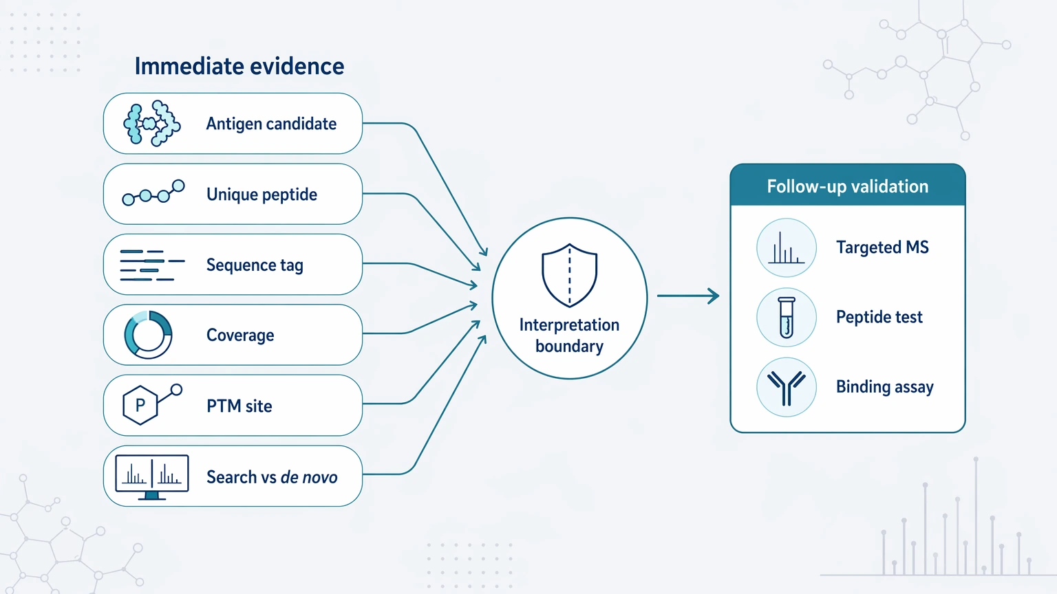 LC-MS/MS evidence view for epitope vs antigen studies showing immediate deliverables and the validation boundary.