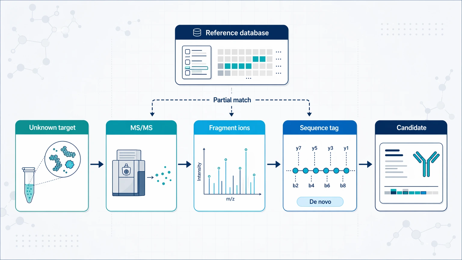 antibody diversity and specificity analysis vs ELISA image showing de novo sequence tag evidence path from MS-MS data to candidate interpretation