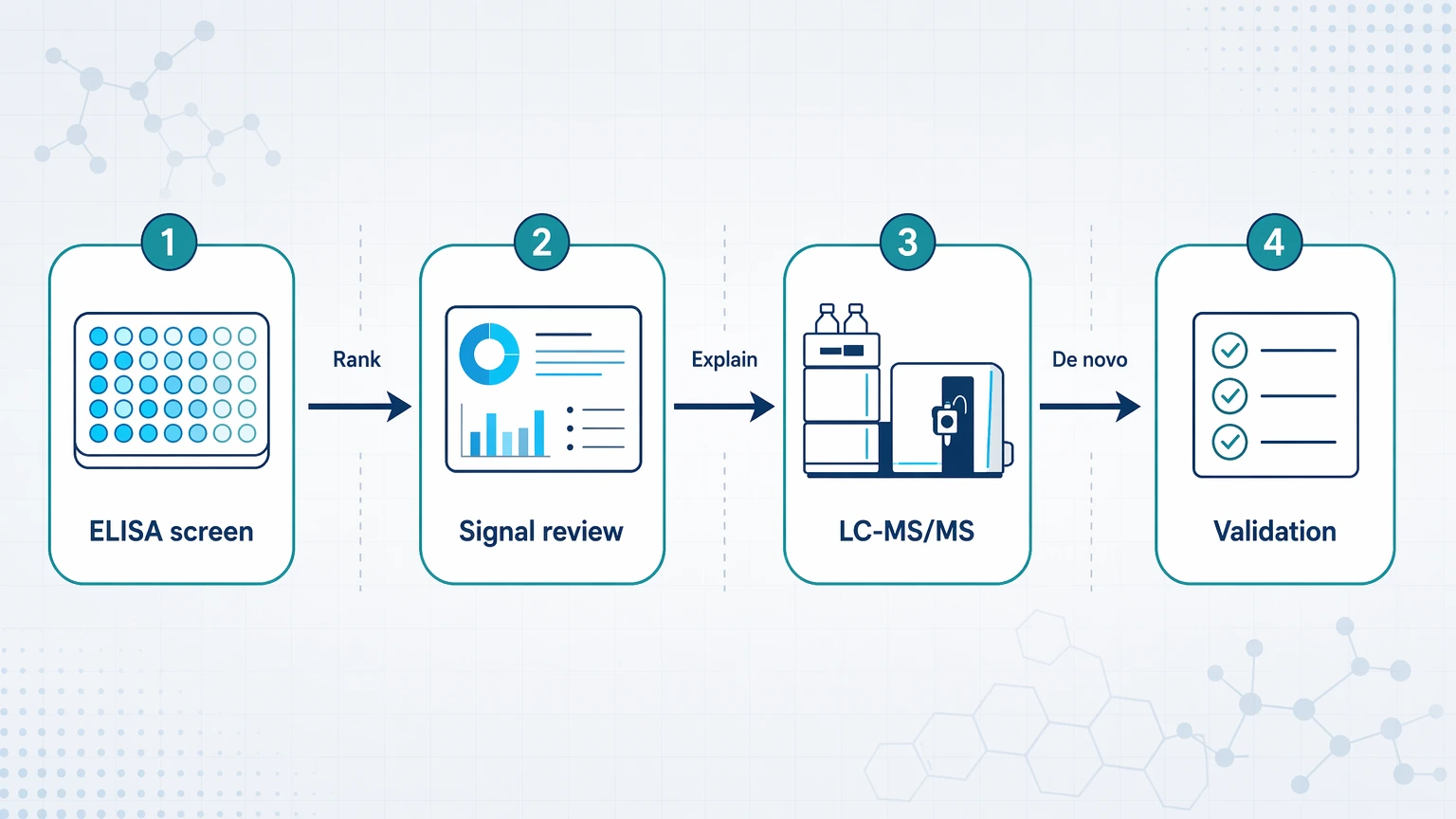 antibody diversity and specificity analysis vs ELISA workflow diagram showing staged progression from ELISA screening to LC-MS-MS validation