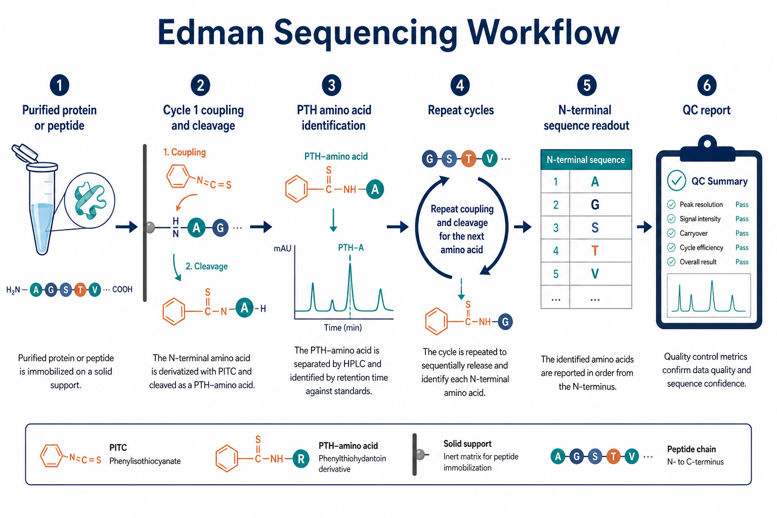 2074395374380994560-edman-sequencing-workflow.png