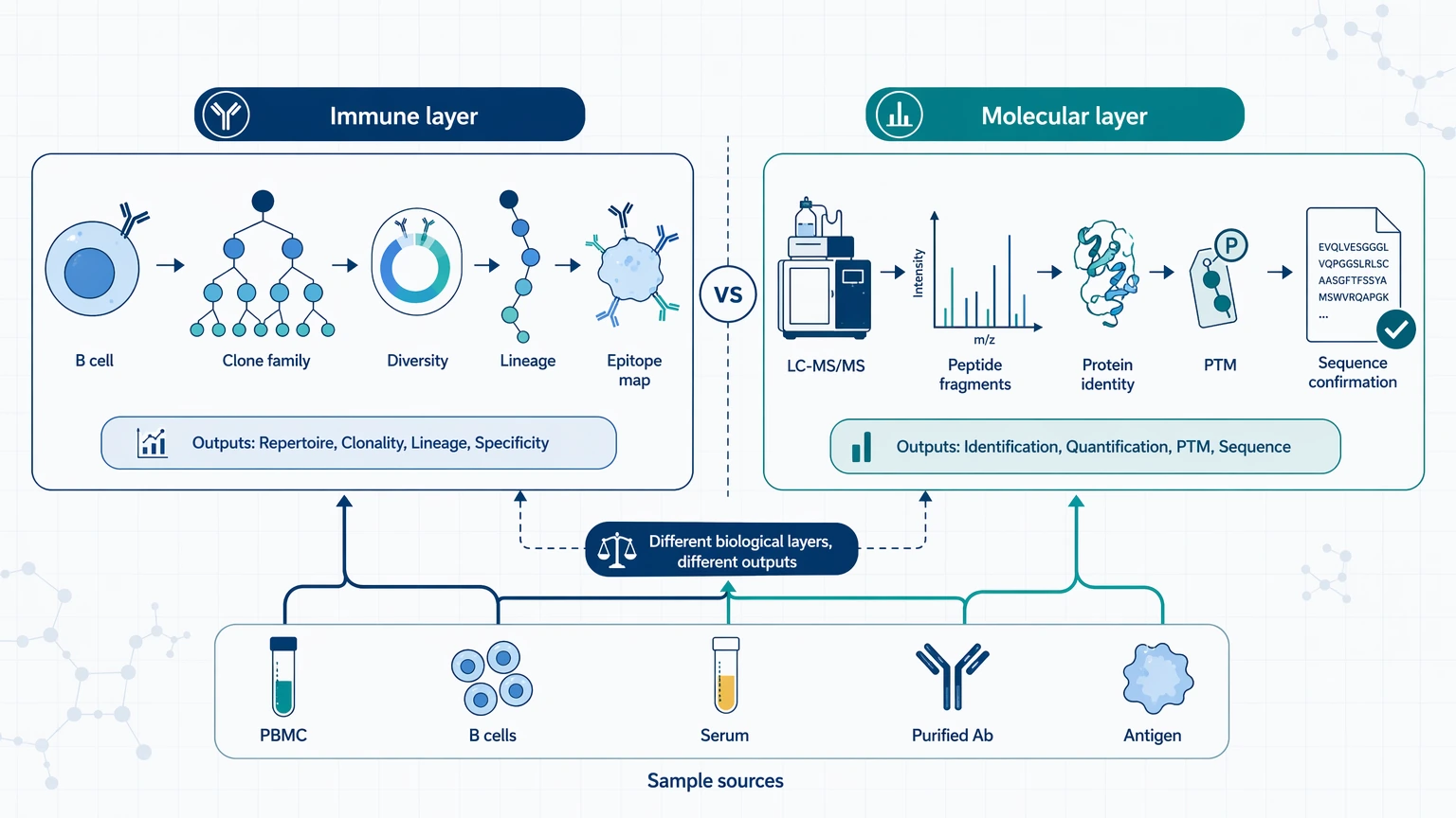 Principle diagram showing antibody diversity and specificity analysis vs mass spectrometry as different biological layers in research.