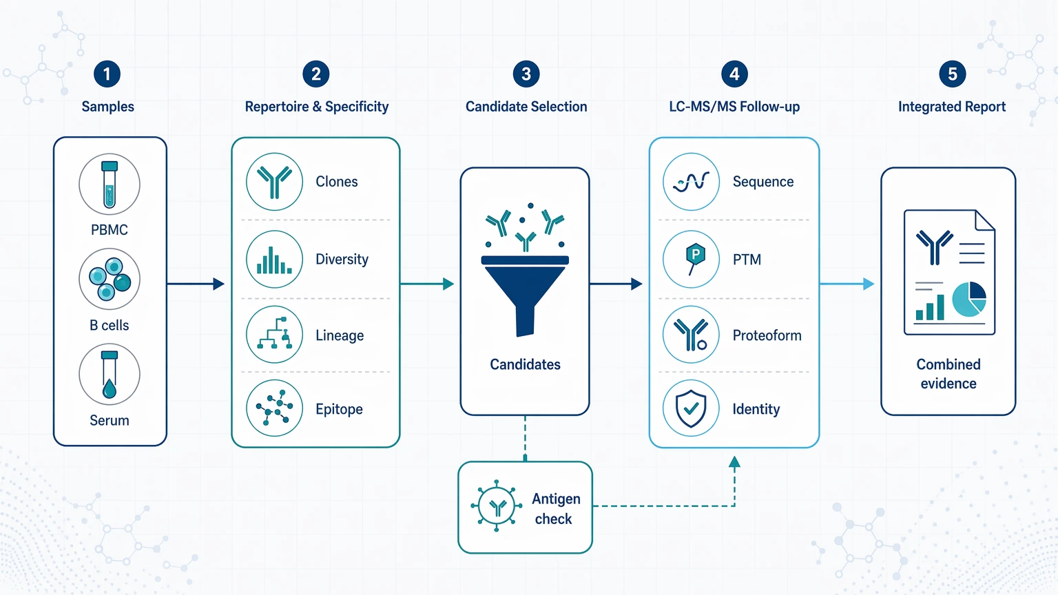 Workflow infographic for combining antibody diversity and specificity analysis with LC-MS/MS in a research project.