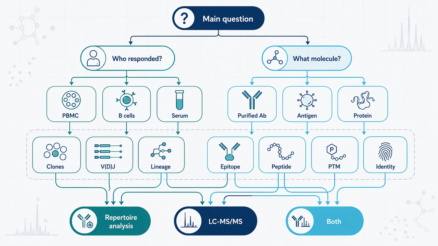 Decision path infographic for antibody diversity and specificity analysis vs mass spectrometry based on sample and deliverable.