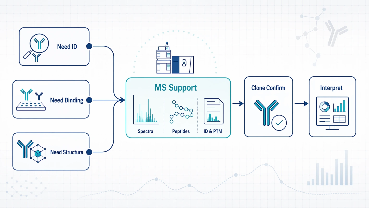 How to improve antibody diversity and specificity analysis workflows with mass spectrometry support selection guidance.