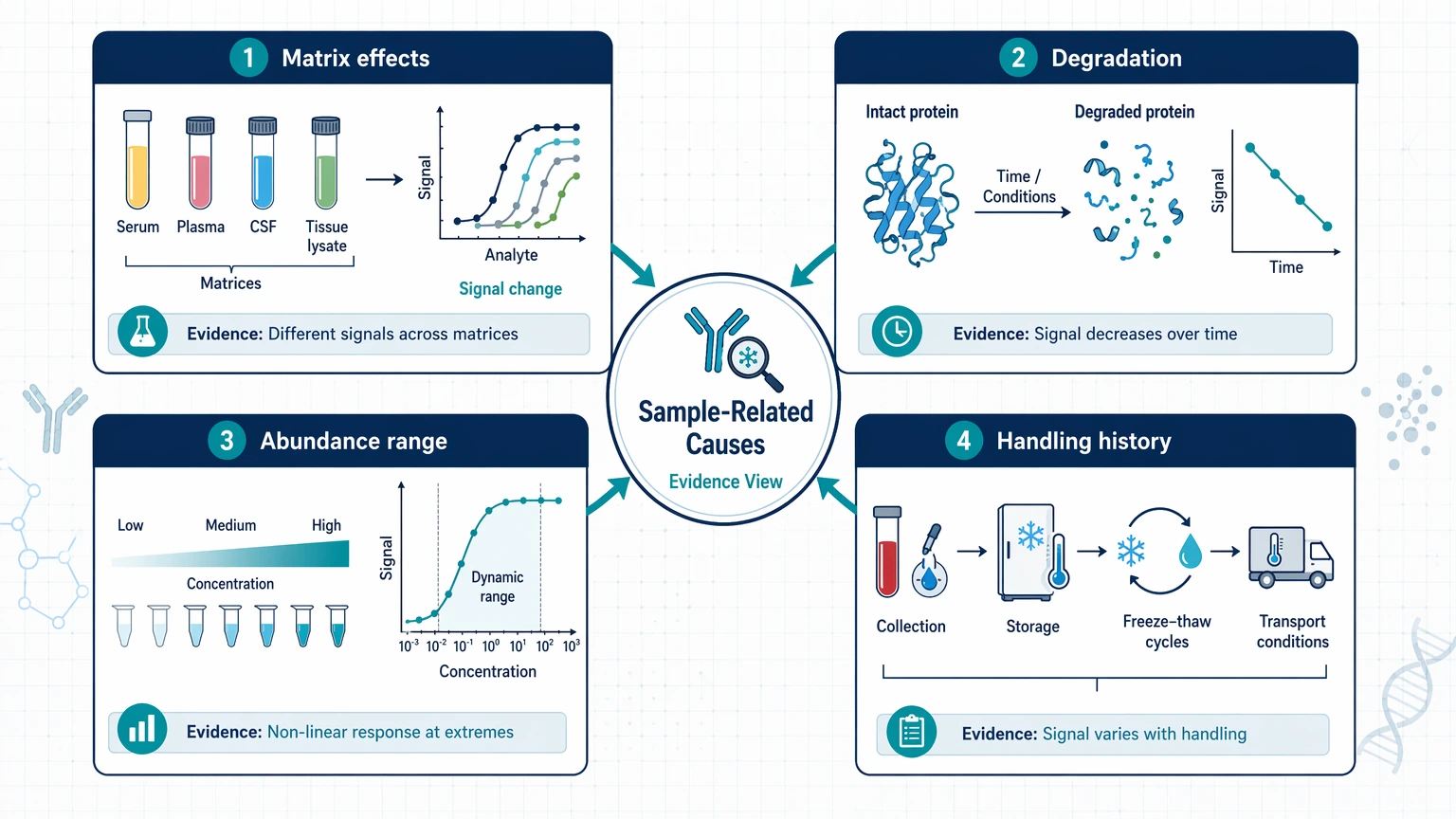 disease biomarker discovery antibody analysis troubleshooting Sample-related causes: matrix effects, degradation, abundance range, and handling history visual guide