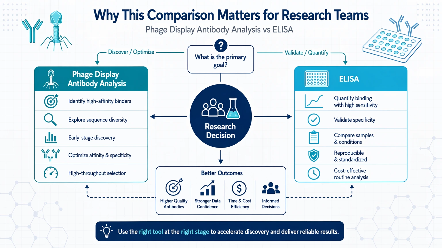 phage display antibody analysis vs elisa Why This Comparison Matters for Research Teams visual guide