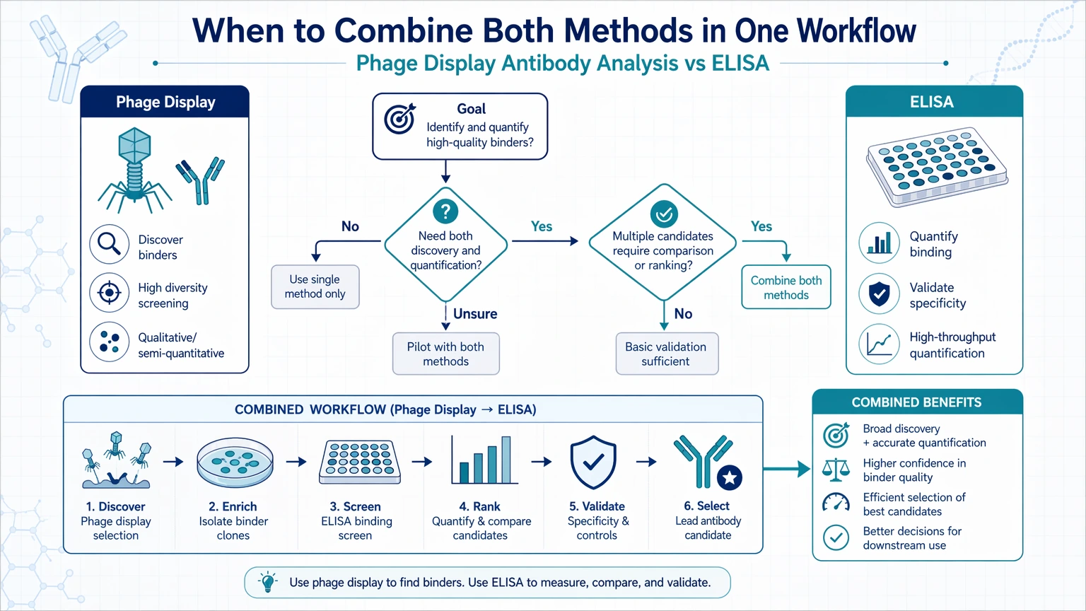 phage display antibody analysis vs elisa When to Combine Both Methods in One Workflow visual guide