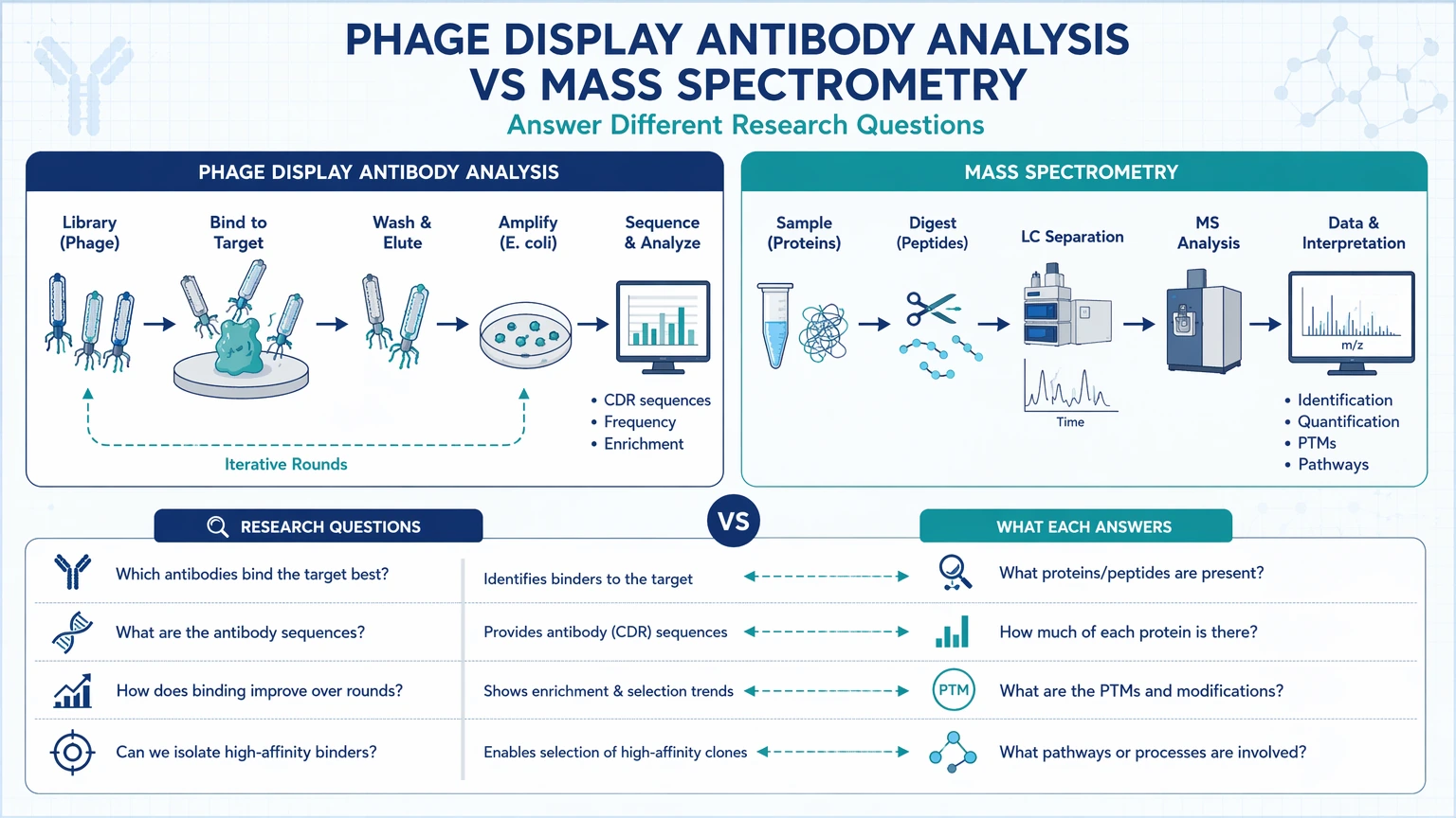 phage display antibody analysis vs mass spectrometry Phage Display Antibody Analysis and Mass Spectrometry Answer Different Research Questions visual guide