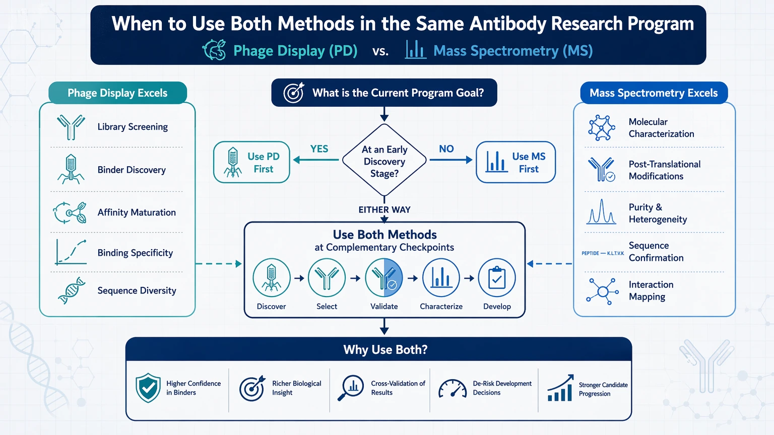 phage display antibody analysis vs mass spectrometry When to Use Both Methods in the Same Antibody Research Program visual guide