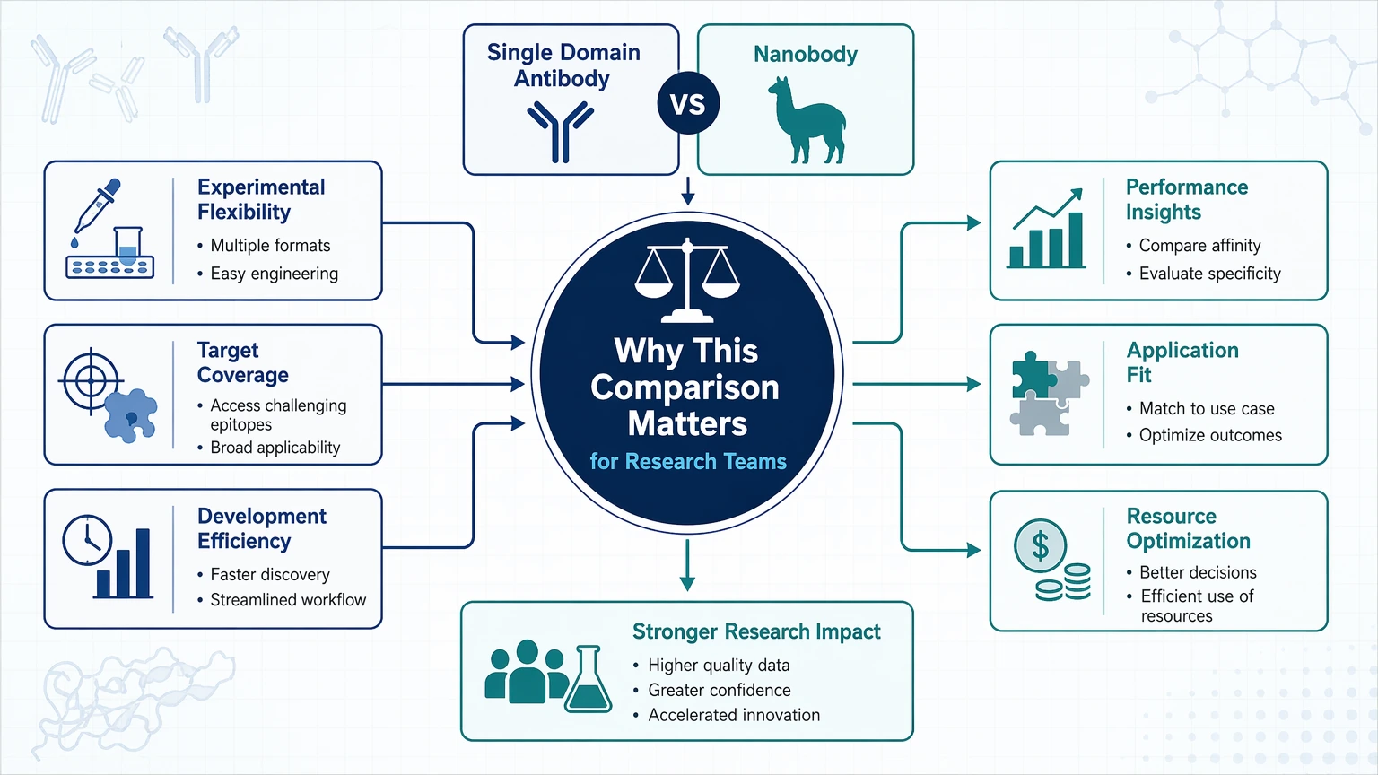 single domain antibody vs nanobody Why This Comparison Matters for Research Teams visual guide