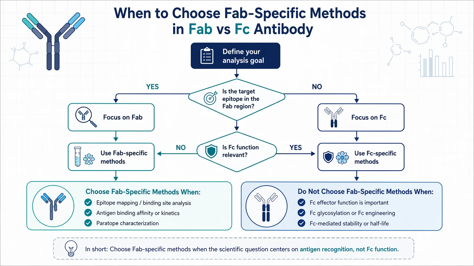 fab vs fc antibody When to Choose Fab-Specific Methods visual guide