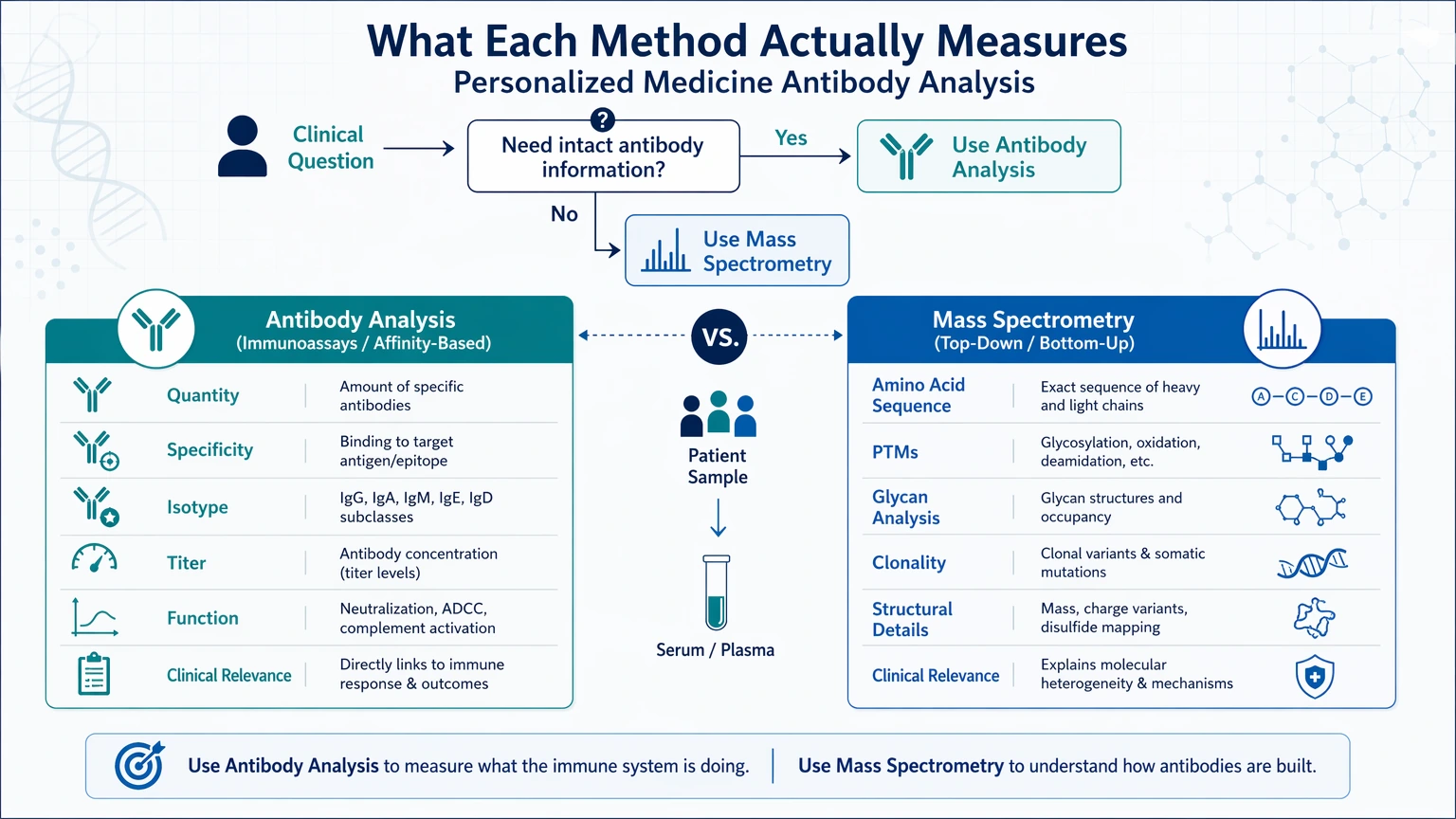 personalized medicine antibody analysis vs mass spectrometry What Each Method Actually Measures visual guide