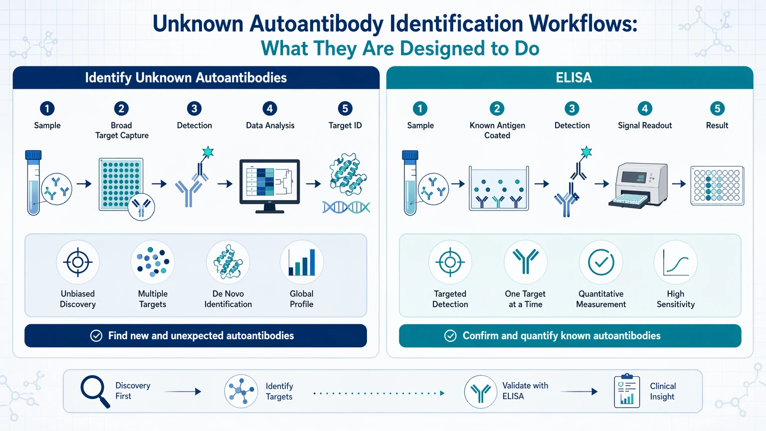identify unknown autoantibodies vs elisa Unknown Autoantibody Identification Workflows: What They Are Designed to Do visual guide