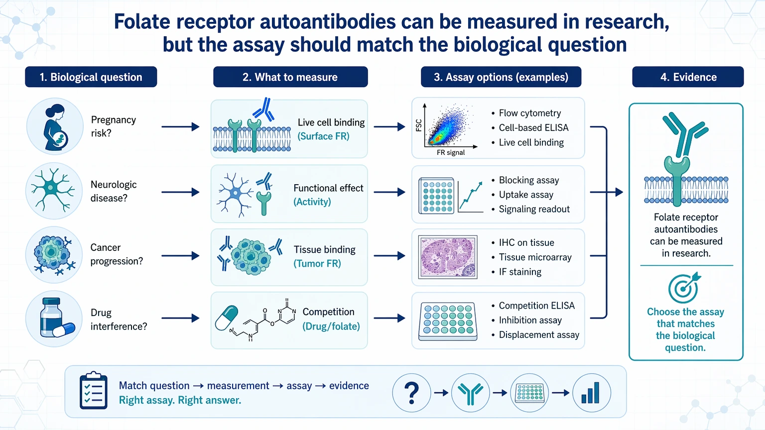 folate receptor autoantibodies Folate receptor autoantibodies can be measured in research, but the assay should match the biological question visual guide