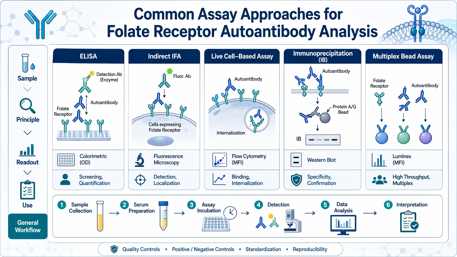 folate receptor autoantibodies Common Assay Approaches for Folate Receptor Autoantibody Analysis visual guide